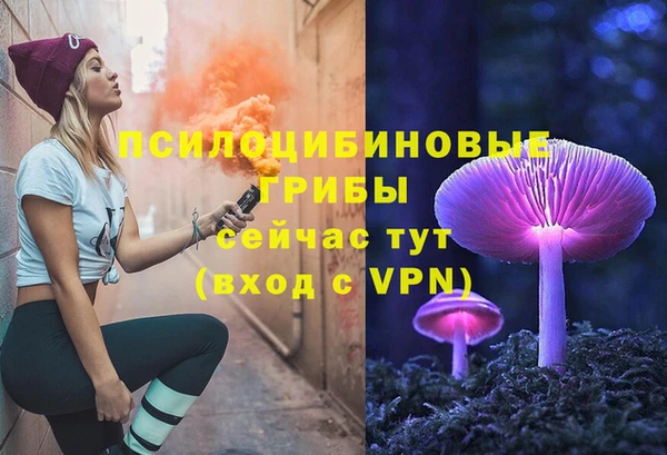 ECSTASY Медногорск