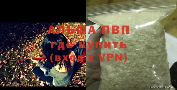СК Медвежьегорск
