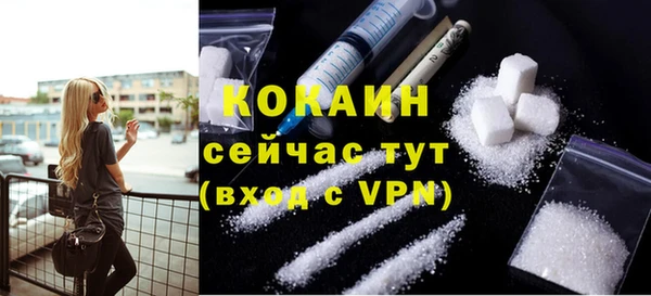 ECSTASY Медногорск