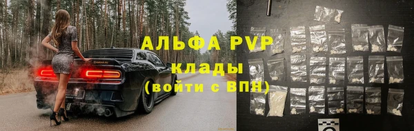 ECSTASY Медногорск